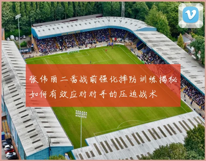 张伟丽二番战前强化摔防训练揭秘如何有效应对对手的压迫战术