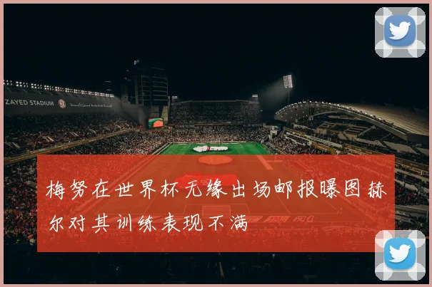 梅努在世界杯无缘出场邮报曝图赫尔对其训练表现不满